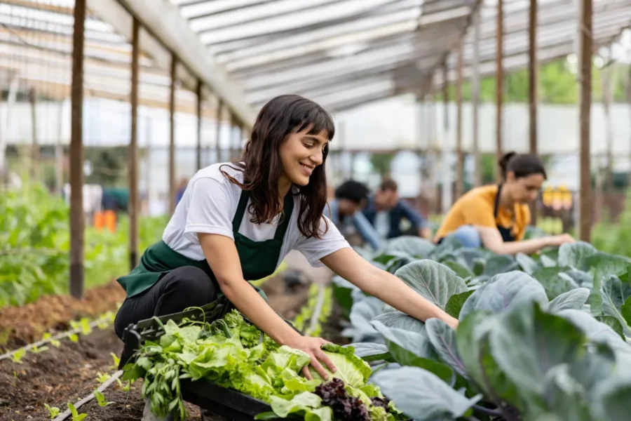 Trabajador agrícola